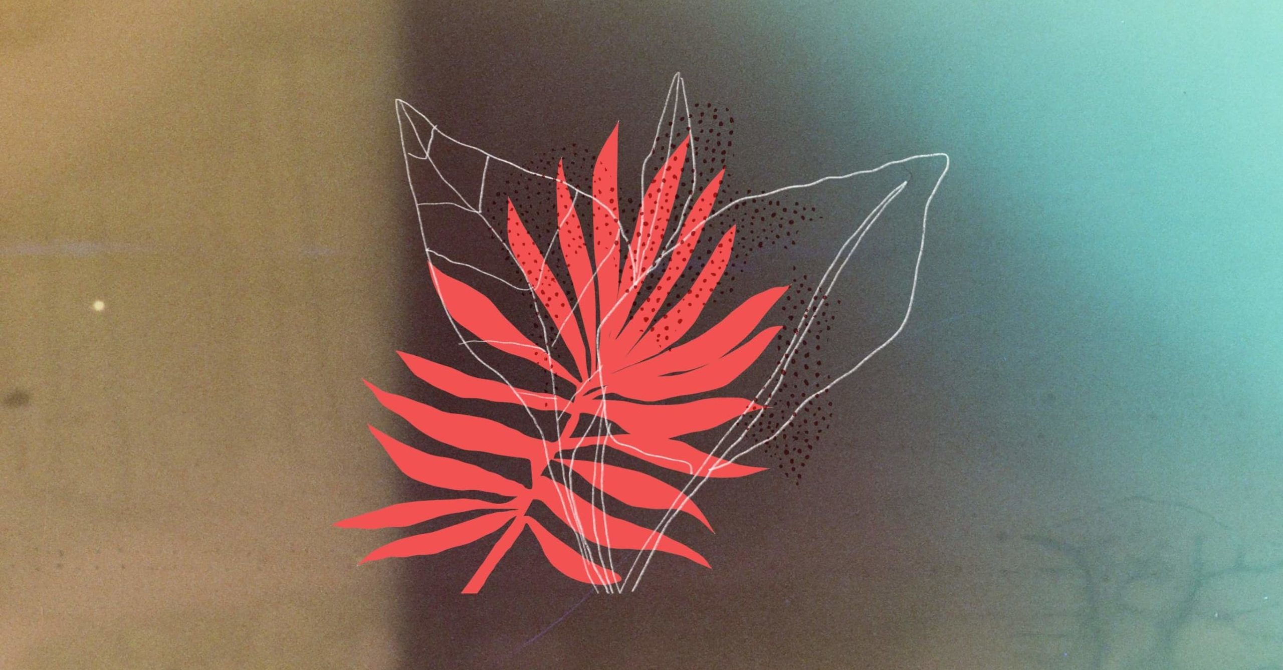 Untitled_Artwork-1