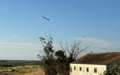 Intégrité et humilité